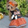 Halloween Fab BOO Lous Dress and Matching Leash