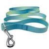 American River Ombre Leash
