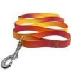 American River Ombre Leash