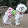 Pink Hawaiian Floral Dog Harness Dress with Matching Leash
