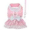 Polka Dot and Lace Dog Dress Set with Leash
