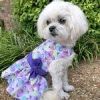Purple Butterfly Dog Dress with Matching Leash