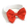 Bow Tie