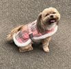 Sherpa Lined Dog Harness Coat