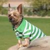 Polos Striped